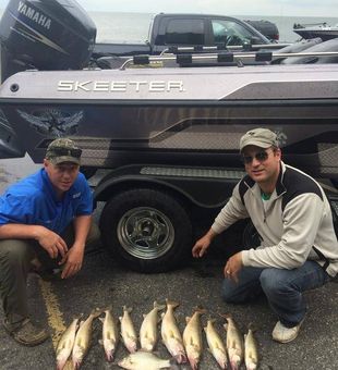 Top Inshore Fishing Florida